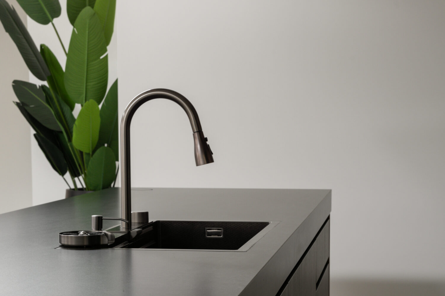 stunning black island with sink and pot plant